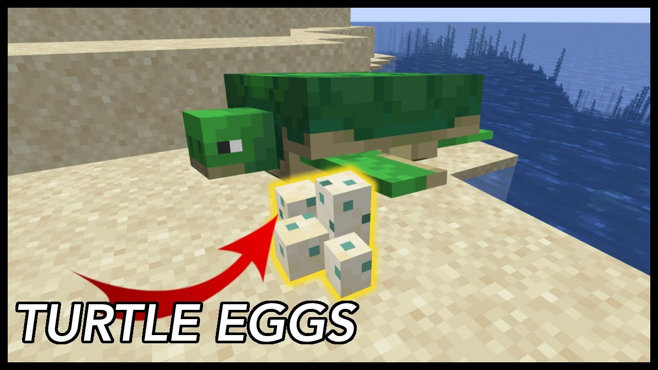 Detail Sea Turtle Egg Minecraft Nomer 3