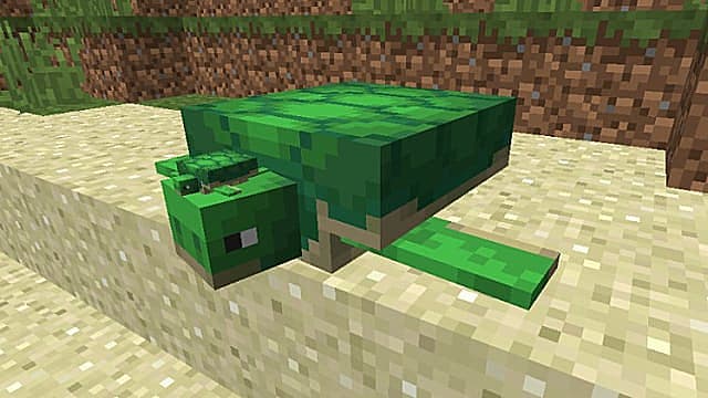 Detail Sea Turtle Egg Minecraft Nomer 24