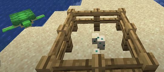 Detail Sea Turtle Egg Minecraft Nomer 30