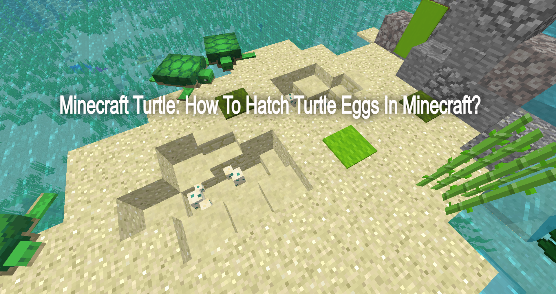 Detail Sea Turtle Egg Minecraft Nomer 38