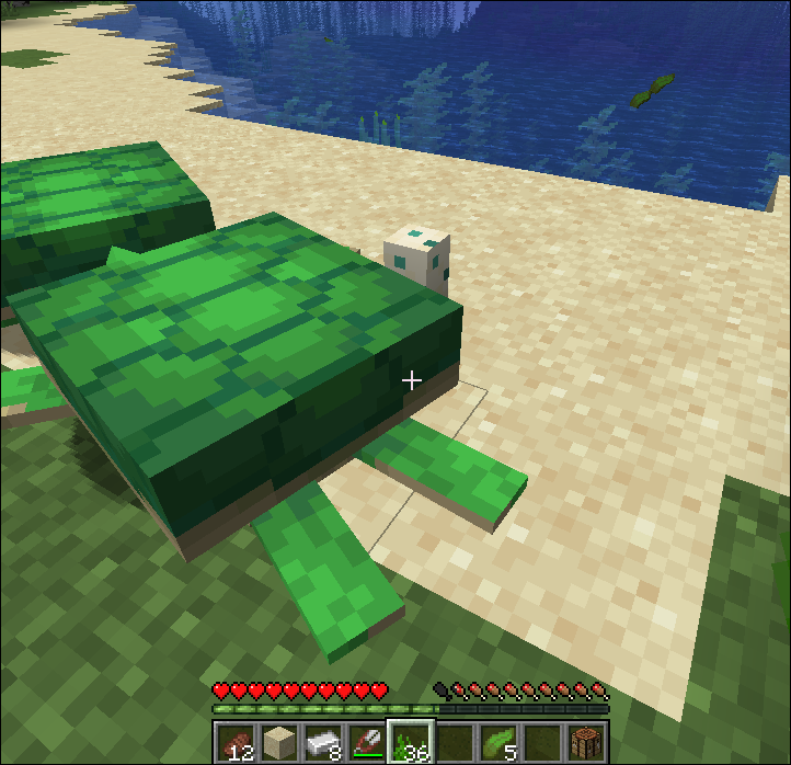 Detail Sea Turtle Egg Minecraft Nomer 44