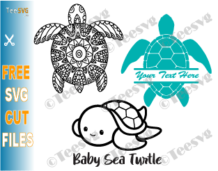 Detail Sea Turtle Images Free Nomer 50