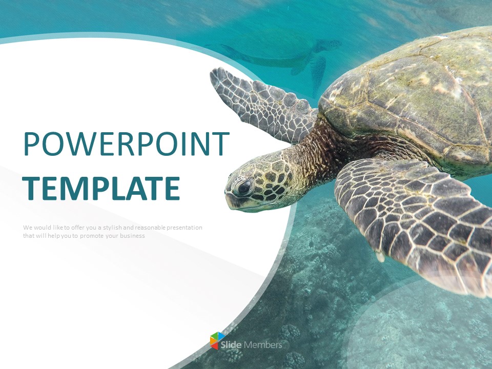 Download Sea Turtle Powerpoint Nomer 1