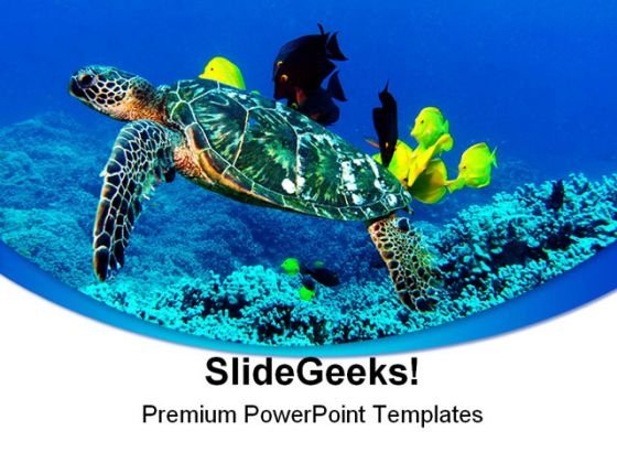 Detail Sea Turtle Powerpoint Nomer 21