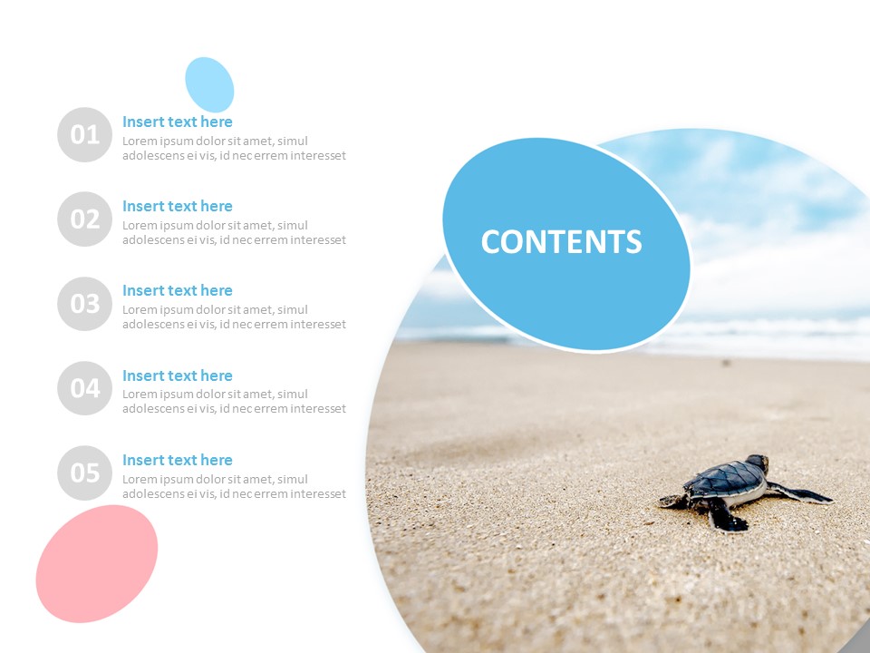 Detail Sea Turtle Powerpoint Nomer 38