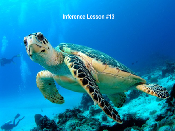 Detail Sea Turtle Powerpoint Nomer 40