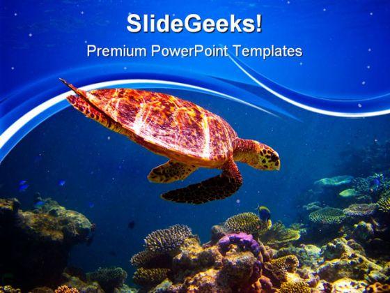 Detail Sea Turtle Powerpoint Nomer 41