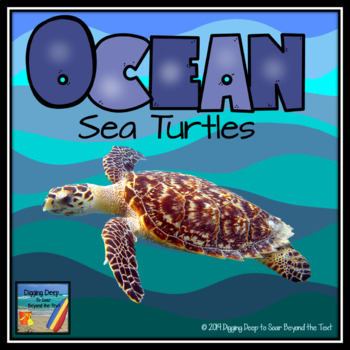 Detail Sea Turtle Powerpoint Nomer 52