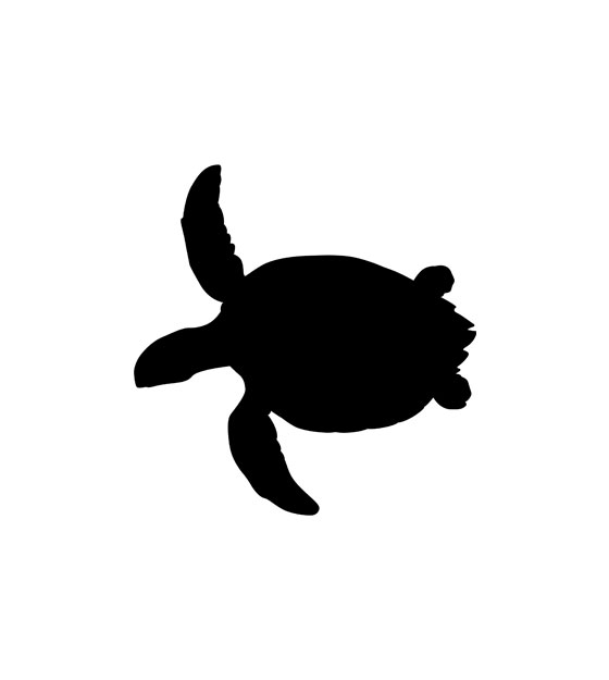 Detail Sea Turtle Silhouette Vector Nomer 13