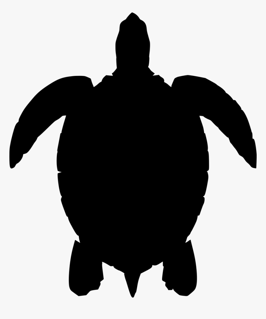 Detail Sea Turtle Silhouette Vector Nomer 14