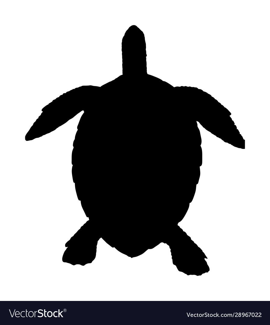 Detail Sea Turtle Silhouette Vector Nomer 23