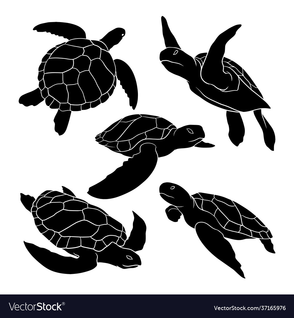 Detail Sea Turtle Silhouette Vector Nomer 24