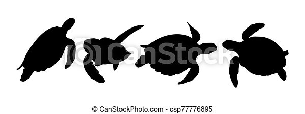 Detail Sea Turtle Silhouette Vector Nomer 29