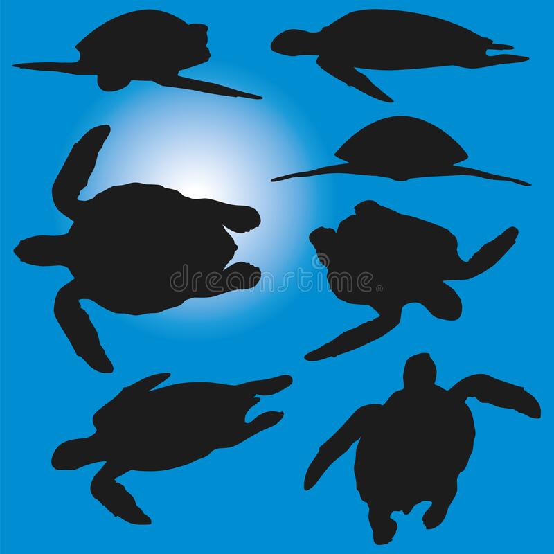 Detail Sea Turtle Silhouette Vector Nomer 38