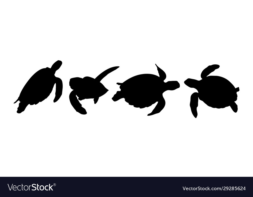 Detail Sea Turtle Silhouette Vector Nomer 10