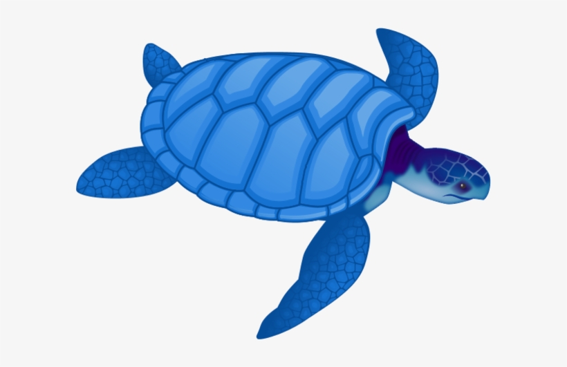 Detail Sea Turtles Clip Art Nomer 12