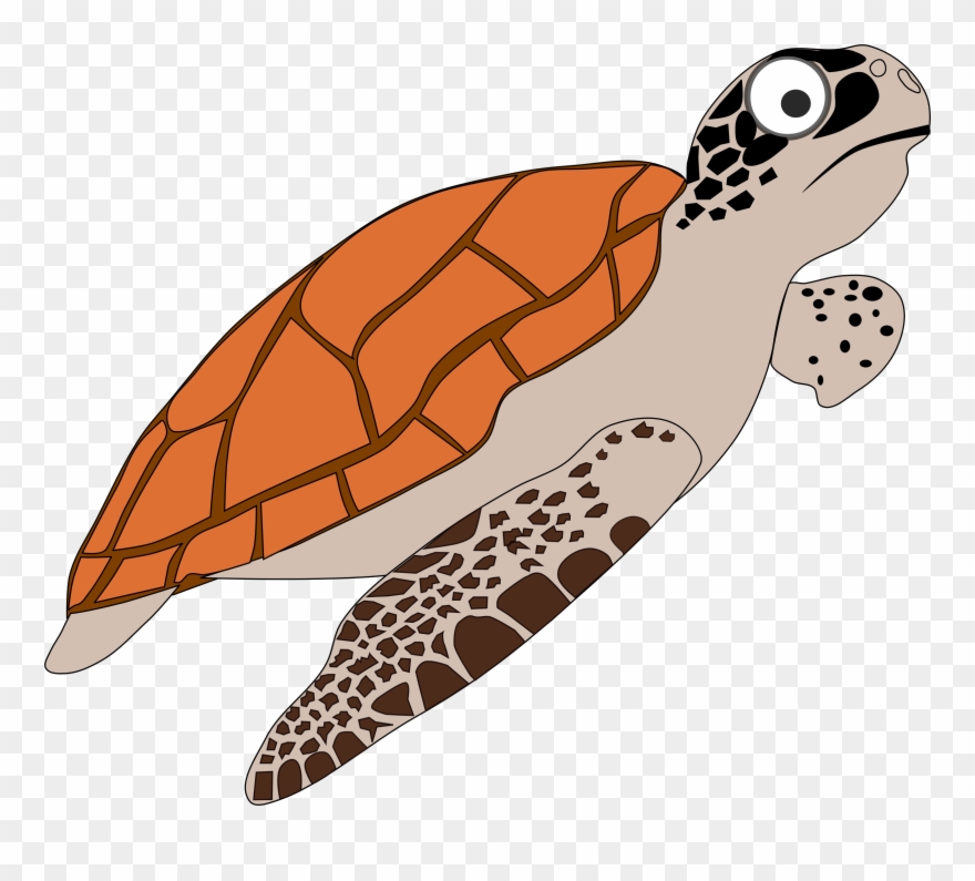 Detail Sea Turtles Clip Art Nomer 15