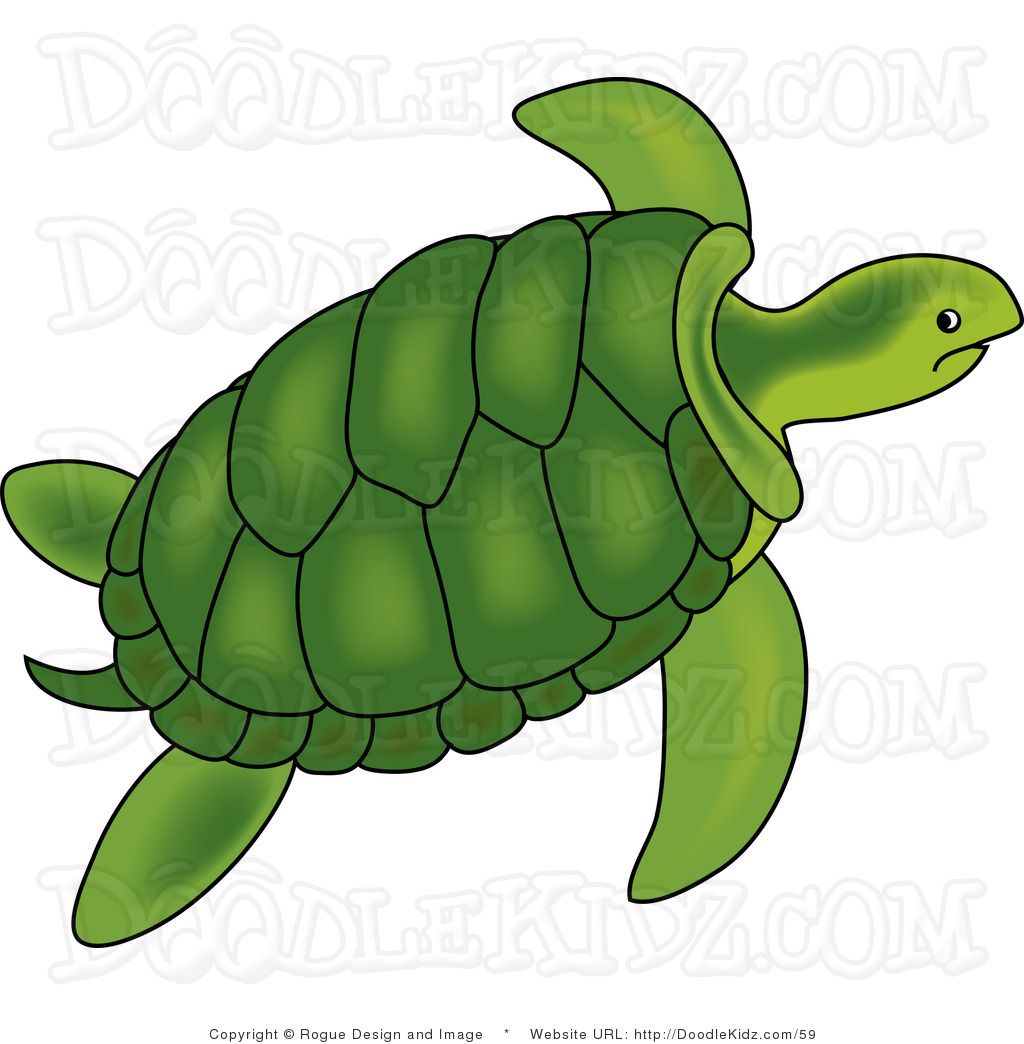 Detail Sea Turtles Clip Art Nomer 48