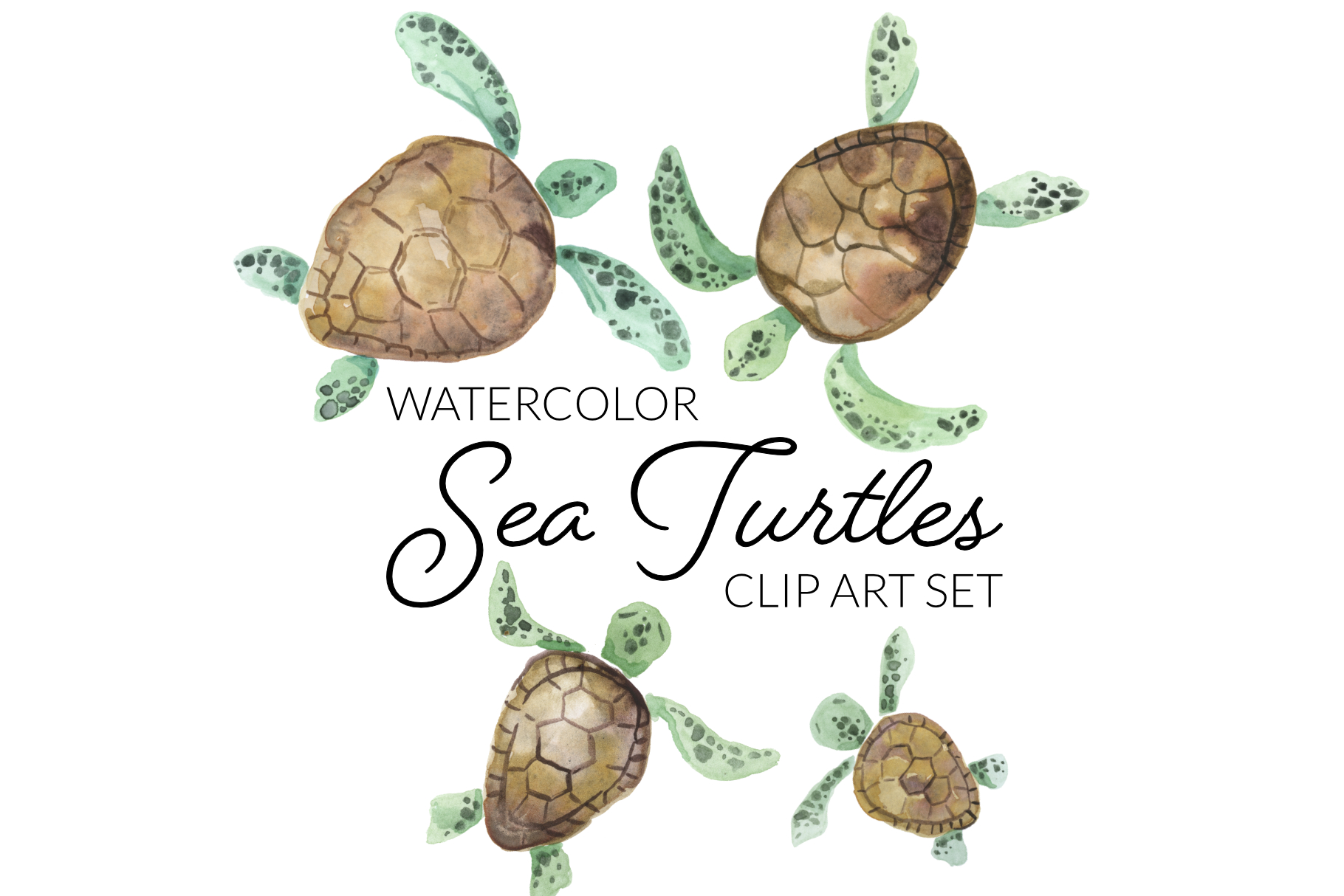 Detail Sea Turtles Clip Art Nomer 54
