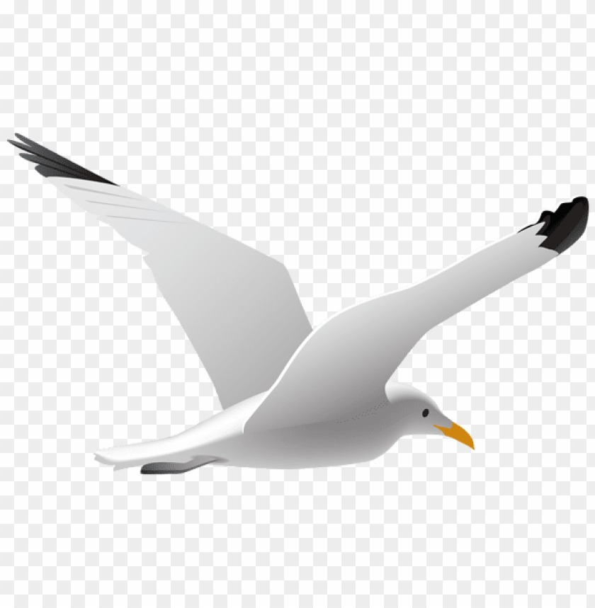 Detail Seagul Png Nomer 23