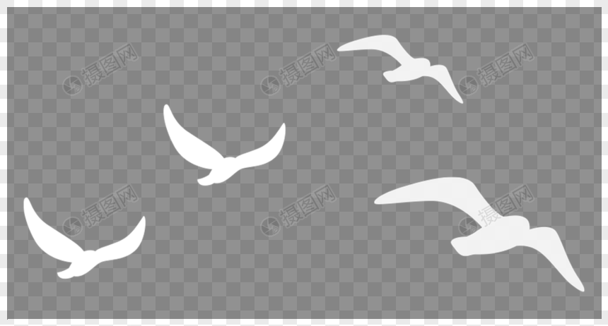 Detail Seagul Png Nomer 49