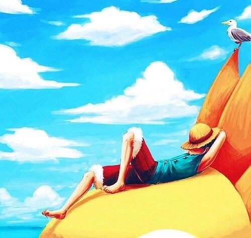 Detail Seagull One Piece Nomer 27