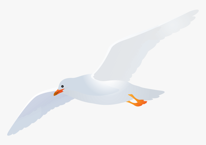 Detail Seagulls Png Nomer 30