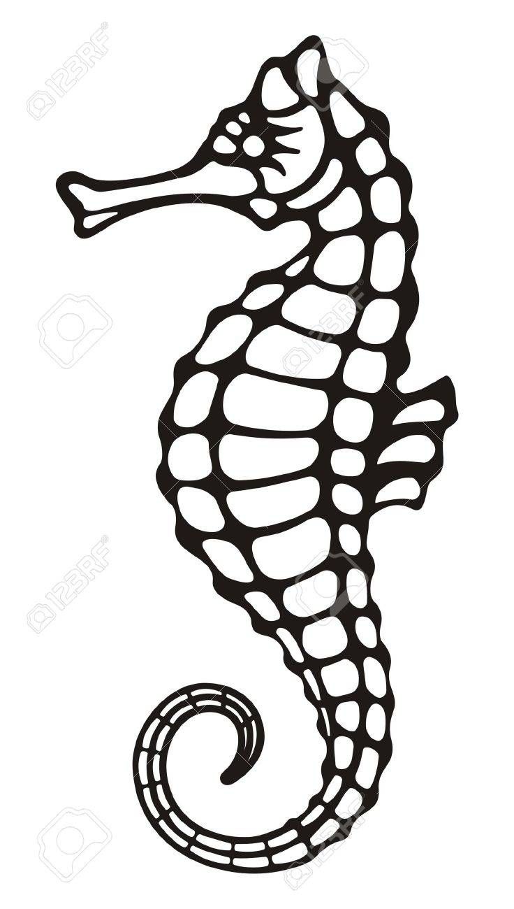 Seahorse Black And White Clipart - KibrisPDR