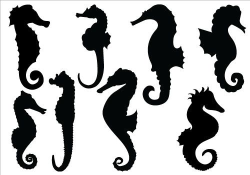 Detail Seahorse Black And White Clipart Nomer 40