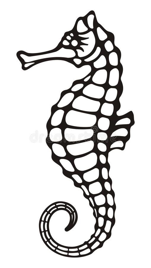 Detail Seahorse Clipart Black And White Nomer 11