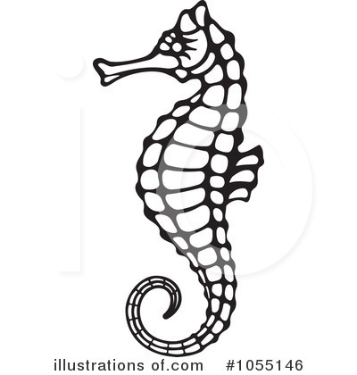 Detail Seahorse Clipart Black And White Nomer 36