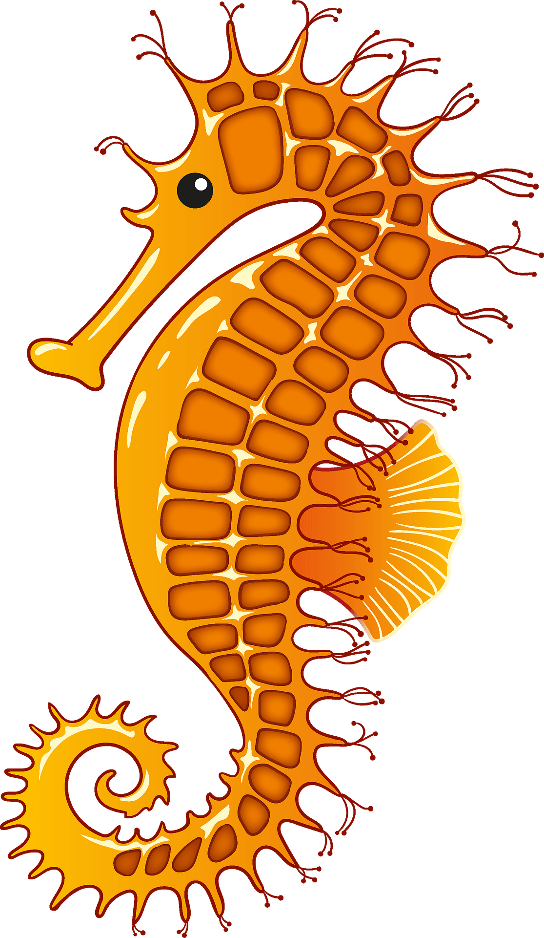 Detail Seahorse Clipart Free Nomer 14