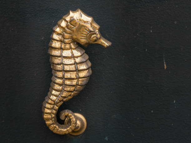 Detail Seahorse Door Handles Nomer 29