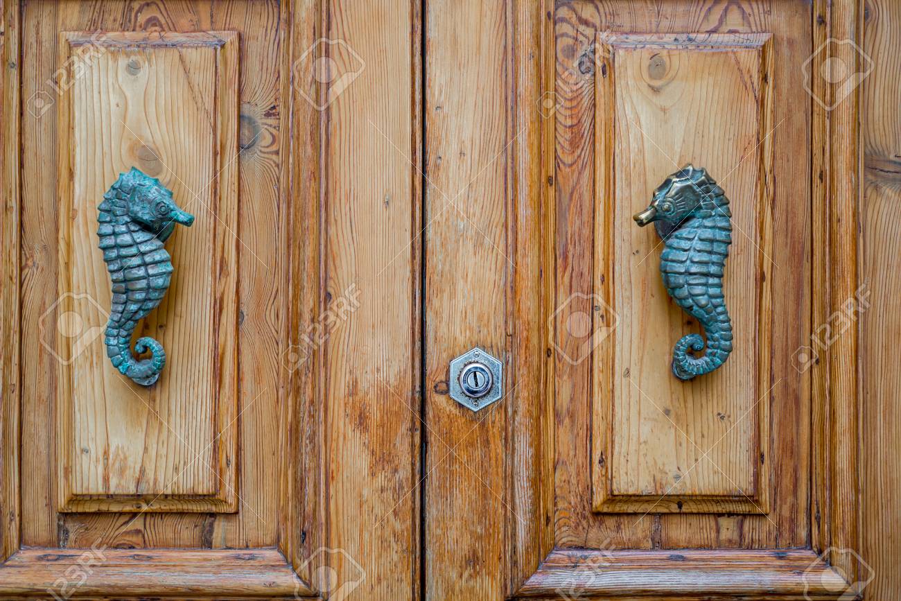 Detail Seahorse Door Pull Nomer 17