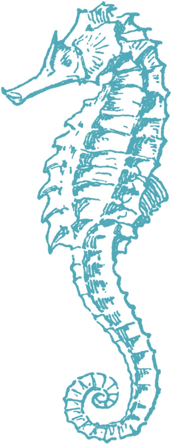 Detail Seahorse Images Clip Art Nomer 27