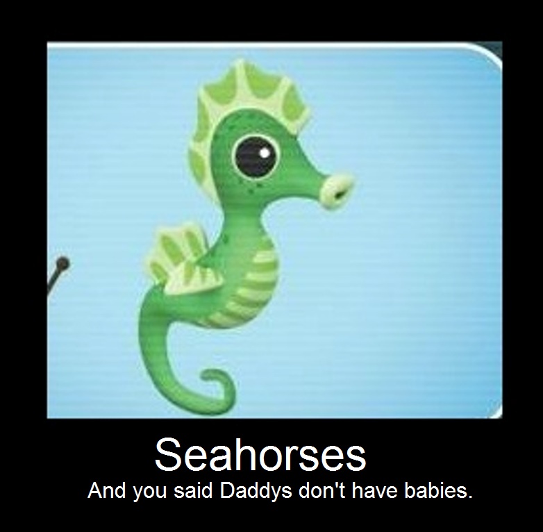 Detail Seahorse Meme Nomer 26