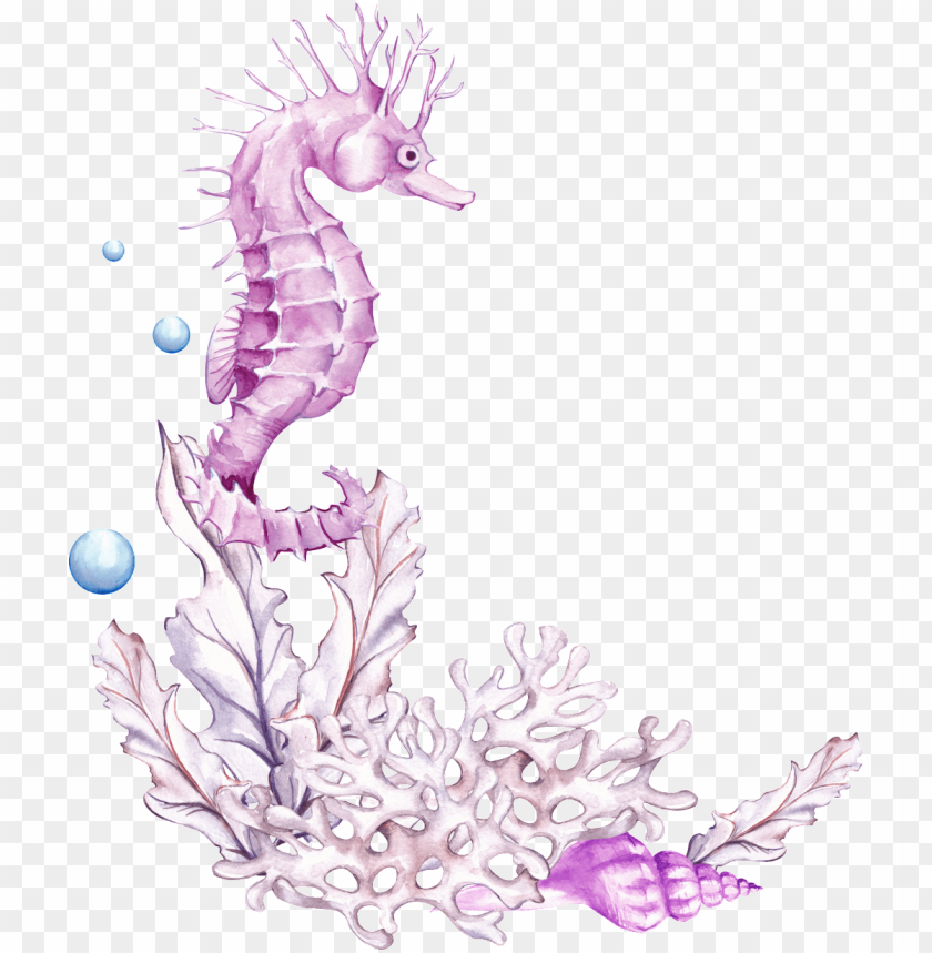 Detail Seahorse Png Nomer 21