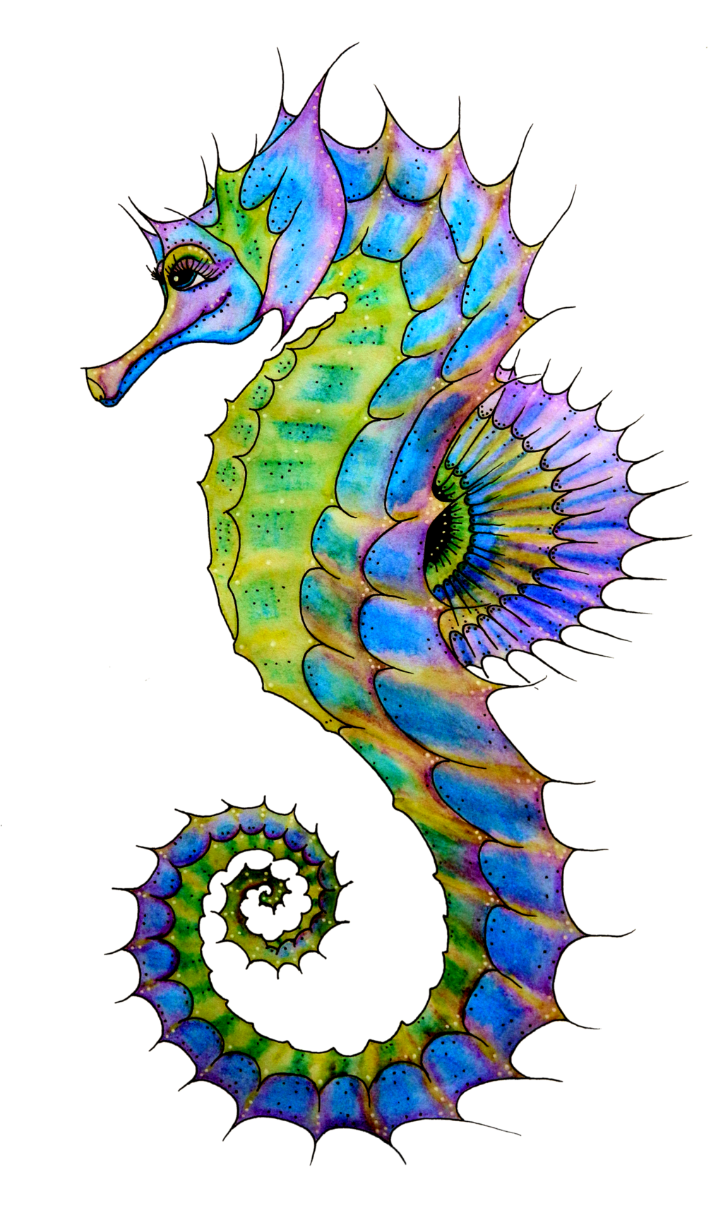 Detail Seahorse Png Nomer 39