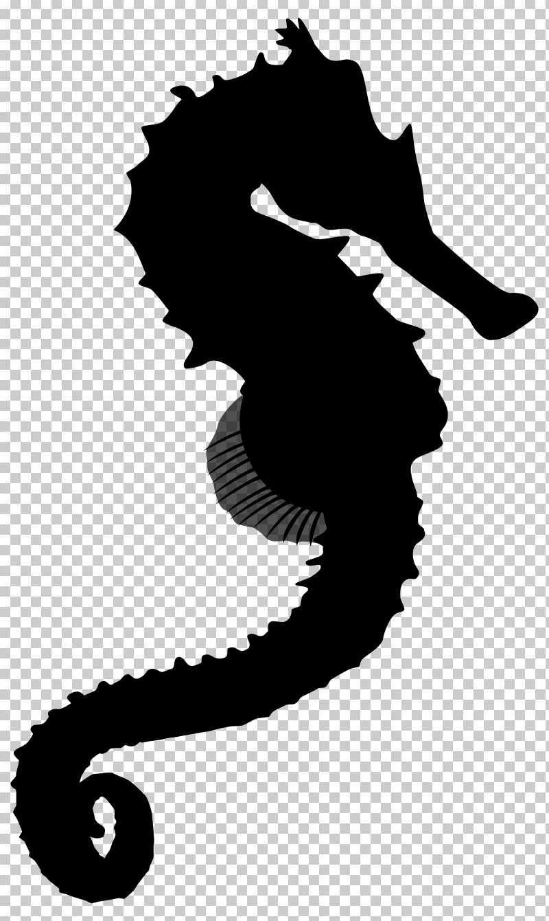 Detail Seahorse Silhouette Png Nomer 9