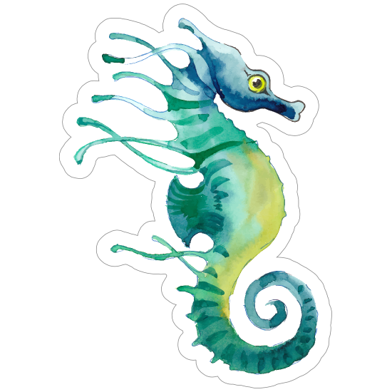 Detail Seahorse Stickers Nomer 13