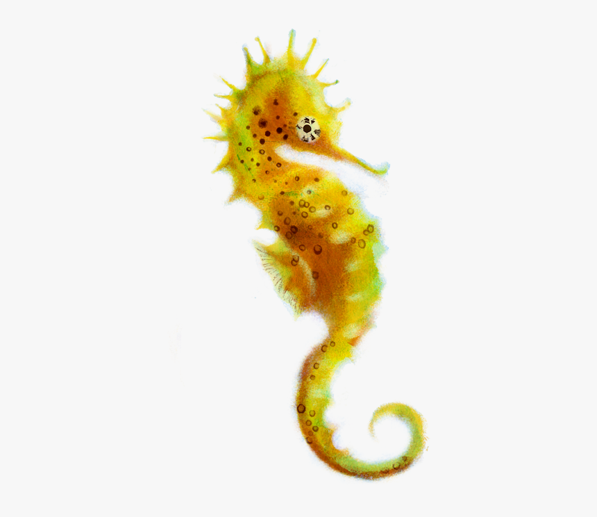 Seahorse Transparent Background - KibrisPDR