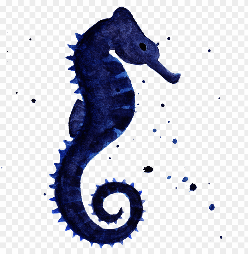 Detail Seahorse Transparent Background Nomer 44