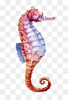 Detail Seahorse Transparent Background Nomer 50