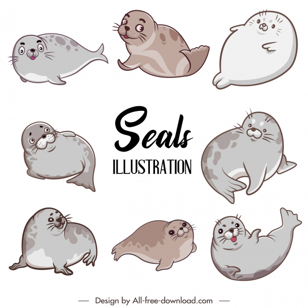 Detail Seal Animal Images Nomer 29