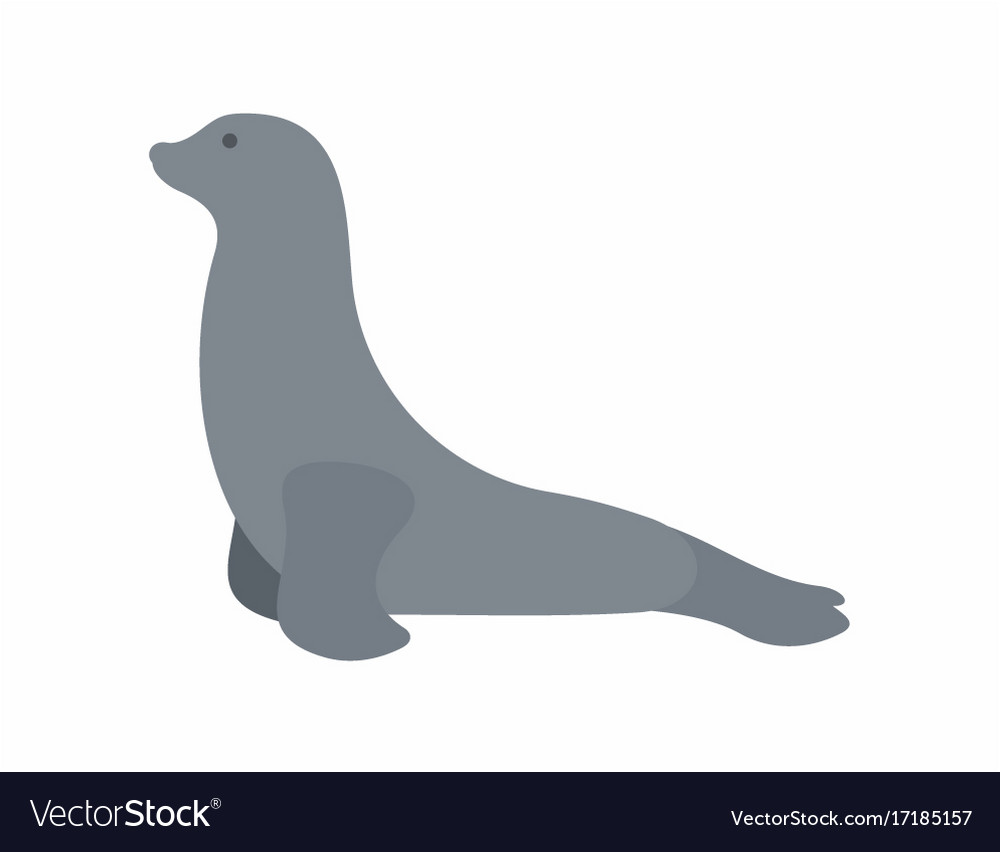 Detail Seal Animal Images Nomer 33