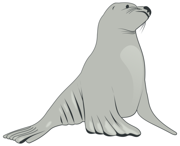 Detail Seal Clipart Transparent Nomer 10