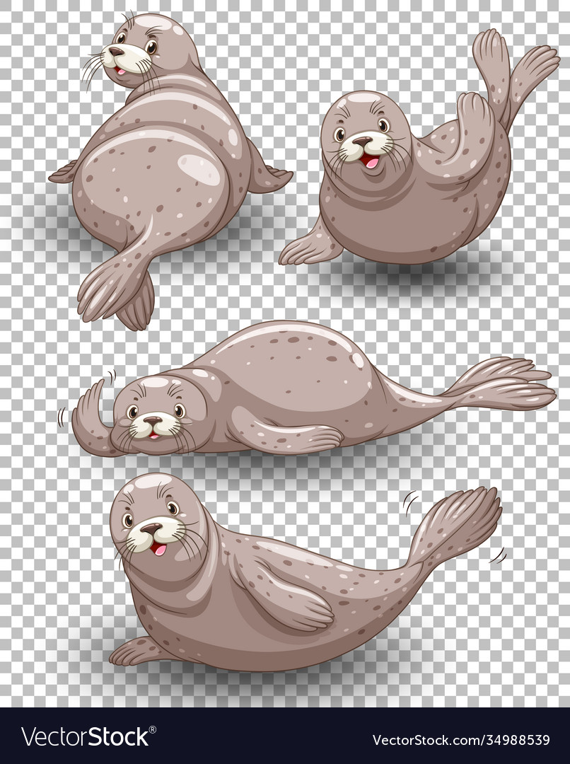 Detail Seal Transparent Background Nomer 27