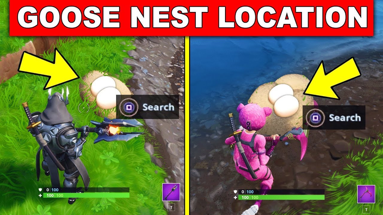 Detail Search Goose Nests Fortnite Nomer 15