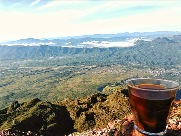 Detail Secangkir Kopi Kopi Nomer 54