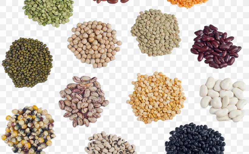 Detail Seeds Png Nomer 34